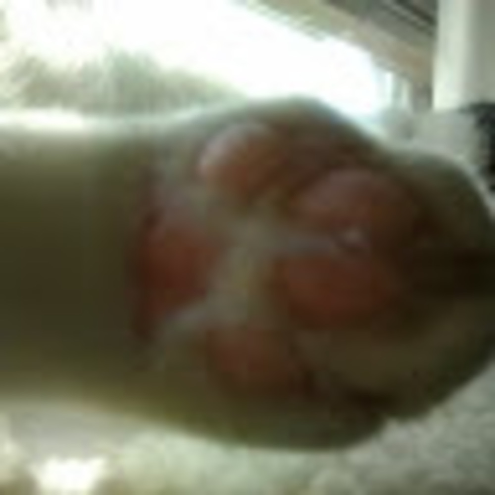 Meet your Posher, Thursday